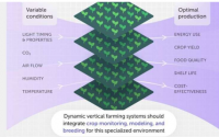 科学家探索室内垂直农业如何满足未来的粮食需求